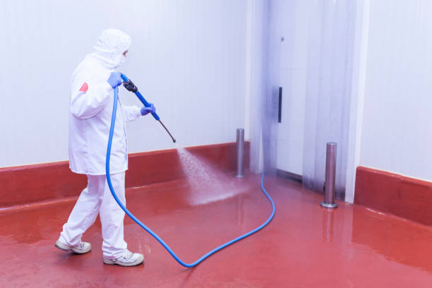 Best Pre-Holiday Cleaning  in Frazer, PA